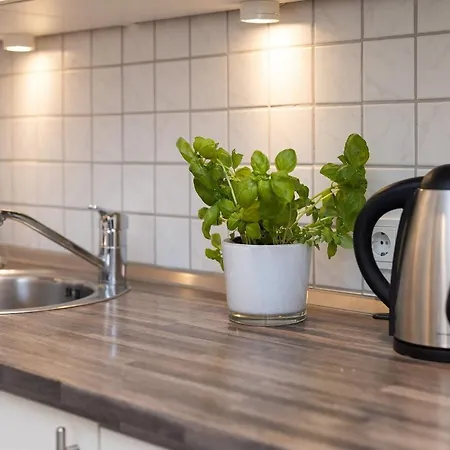 Apartment Weidenweg 31 Whg 1